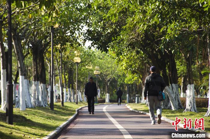 圖為市民、游客在海灣綠道散步?！〉岳顝?攝